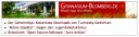 Screenshot unseres Newstickers