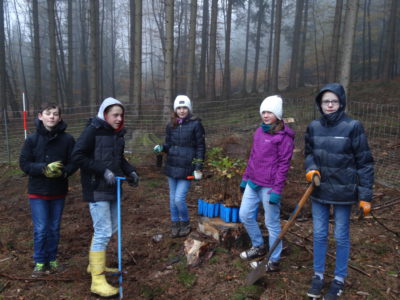 wald02